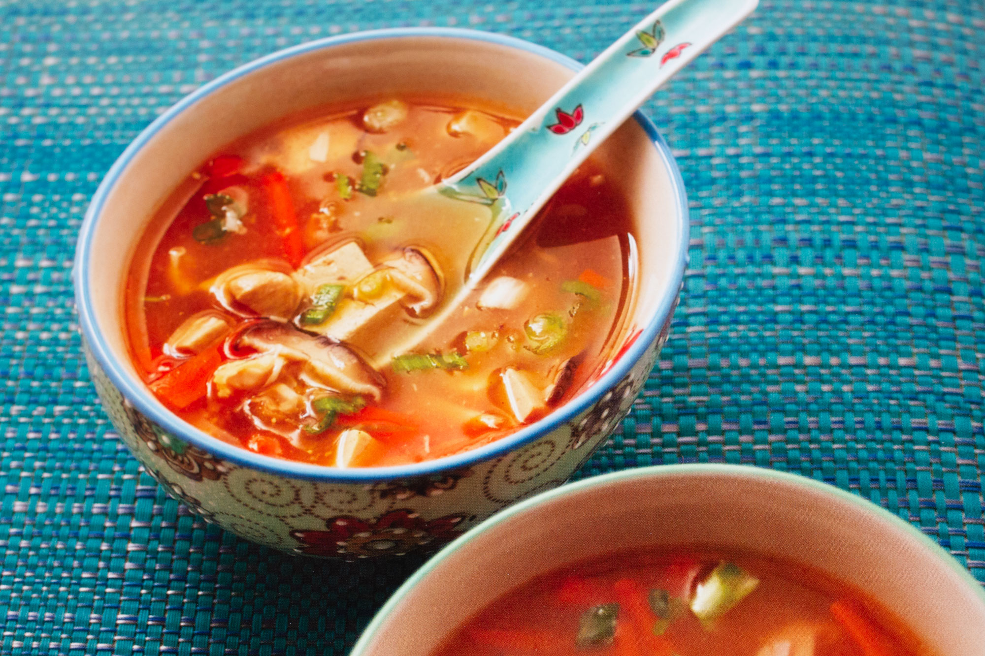Sweet and sour chicken soup